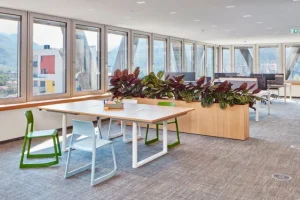 Vitra Terrassenmöbel | Sitzgelegenheiten^Stuhl Tip Ton, eisgrau